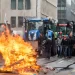 European Commission’s Intensive Agriculture Push Sparks Farmer Protests, Threatens Sustainable Farming