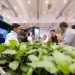 GreenTech Americas Conference: Controlled Environment Agriculture